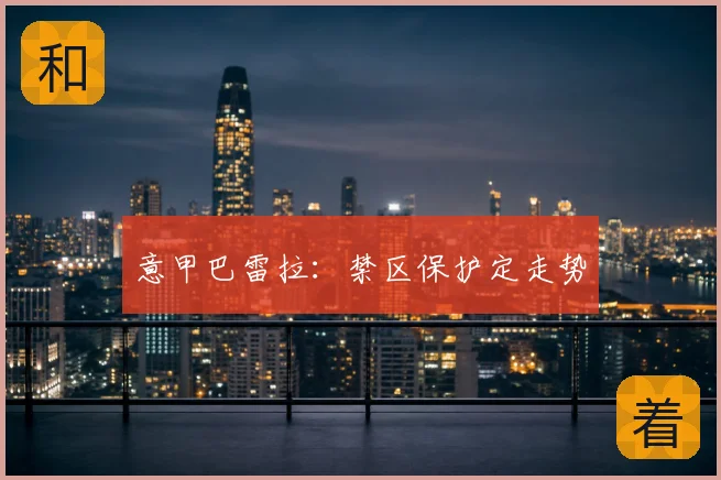 意甲巴雷拉：禁区保护定走势