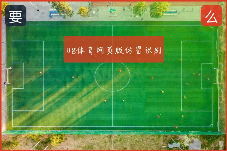 ag体育网页版仿冒识别